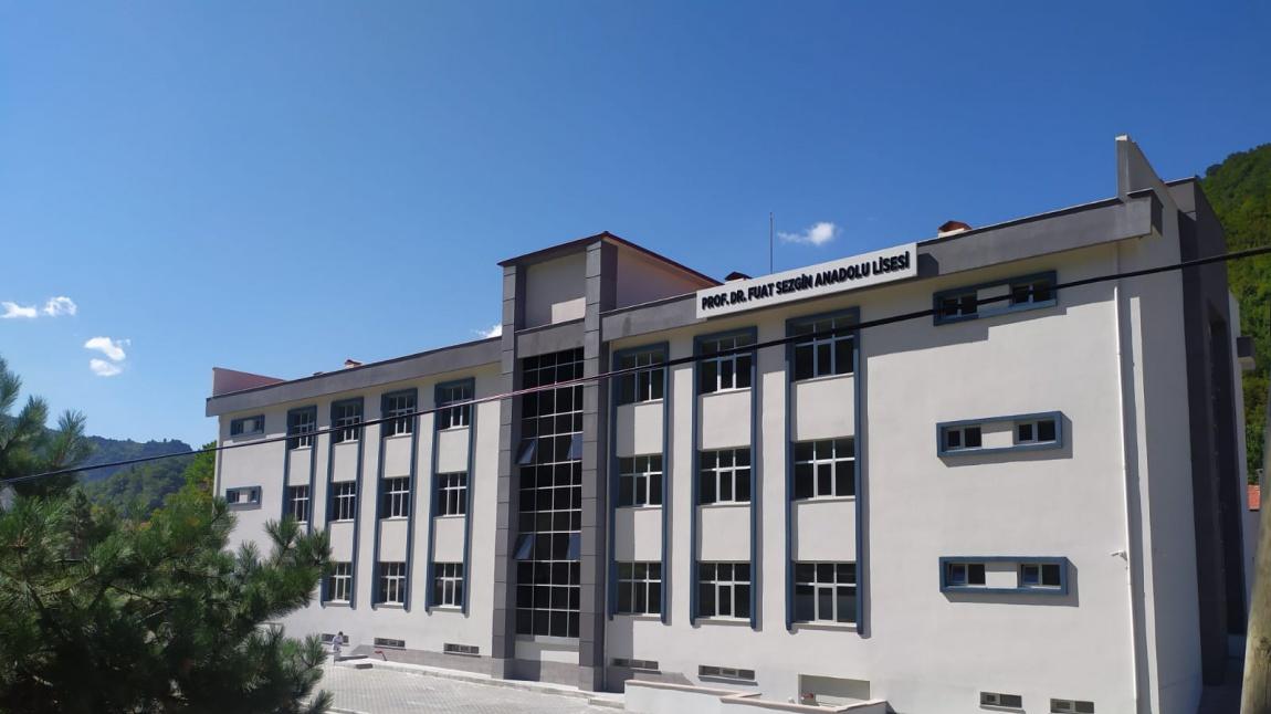 Prof. Dr. Fuat Sezgin Anadolu Lisesi Fotoğrafı